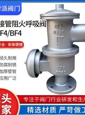 铸钢/不锈钢带接管阻火排气管呼吸阀HXF4-16C/16P储DN25 100