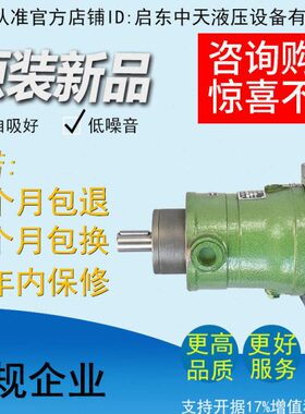 16SCY 25SCY 32SCY 40SCY 100SCY 108SCY 400SCY14-1B/轴向柱塞泵