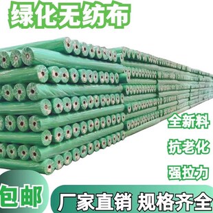 绿化无纺布绿色草坪保湿透气水稻育秧苗工地盖土护边坡草籽覆盖膜