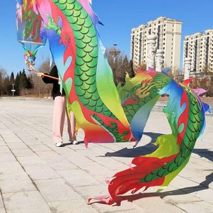 广场健身舞龙带耍龙头彩带全套中老年人初学手洗彩绸一体甩龙道具