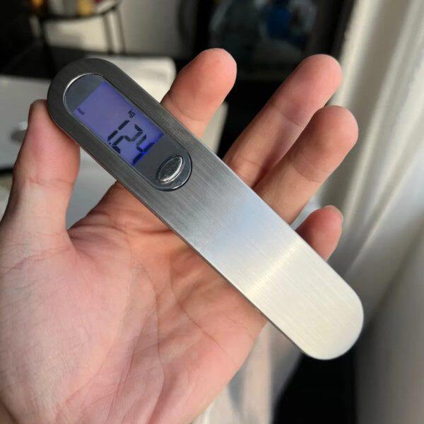 不锈钢拉丝面 小巧便携实用 多用途 高精度手提弹簧挂钩秤??