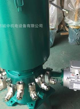 DDRB-N-10口DBZB多点润滑加油泵电动油脂泵31.5mpa高压力打油