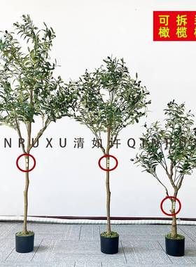 北欧风仿真橄榄树带果橄榄树落地大型假绿植仿真树可拆装绿植盆栽