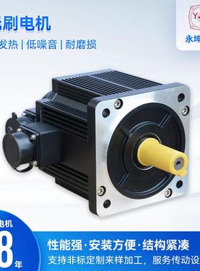 无刷减速电机5系列300W直流减速电机机械设备用电机24V