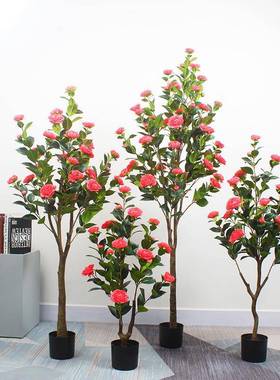 仿真山茶花树绿植盆载山茶树家居装饰造景国风仿假茶树绿植物盆栽