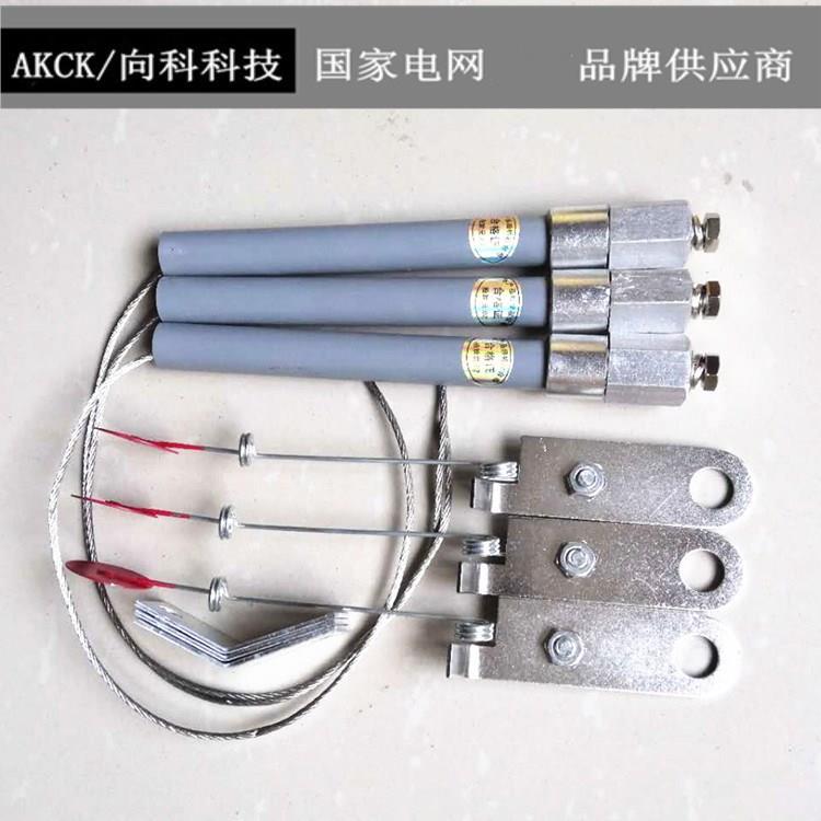 BR2BRNBRW-10-12KV高压并联电容器30A40A50A65熔断器管保险丝