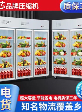 双门三门冷藏保鲜展示柜移动门对开门烧烤火锅水果串串酒水饮料柜
