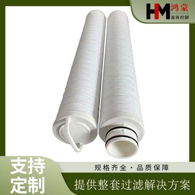 CARTUCCIA40″FA5MicronBigOneFilterA4018060线绕滤芯