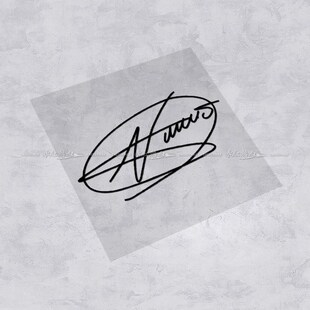 网球签名汽车贴纸 纳达尔德约科维奇费德勒防水拉花 挡风玻璃贴画