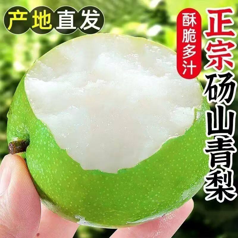 正宗砀山青梨翠冠梨脆甜梨子图片