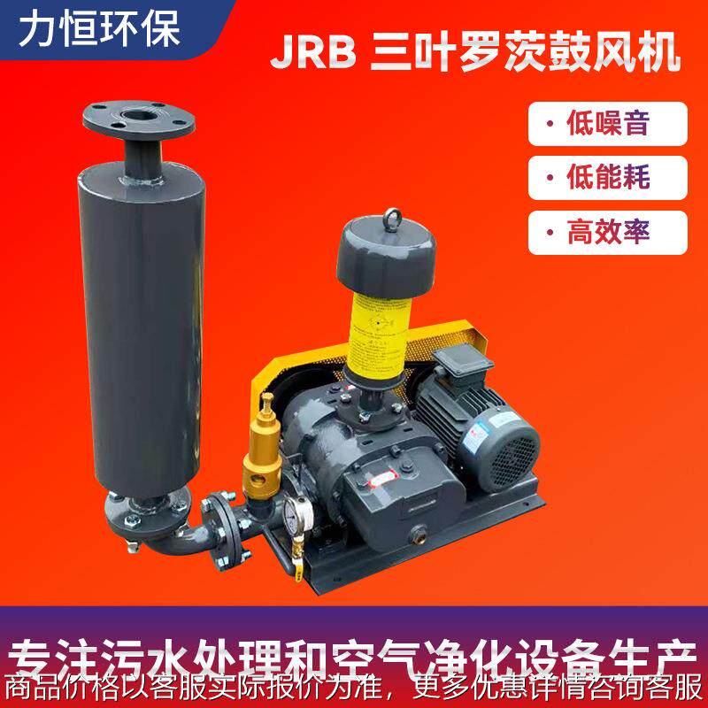 台湾龙铁鲁氏罗茨鼓风机LT同款自动送料增氧养殖污水曝气气力输送