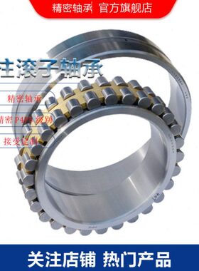 nn3022kw33/p4滚子轴承 减速器轴承 取件机用谐波减速机