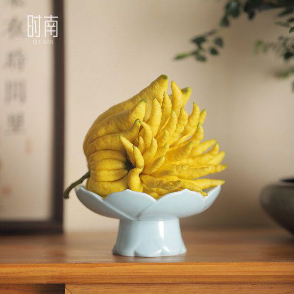 莲花佛手柑托盘可养佛手果水培器皿佛手瓜摆放盘陶瓷花瓶供佛果盘