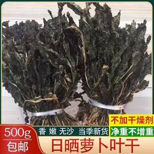 萝卜缨子干菜新货萝卜叶青萝卜白萝卜叶农家自制红萝卜叶当季新货