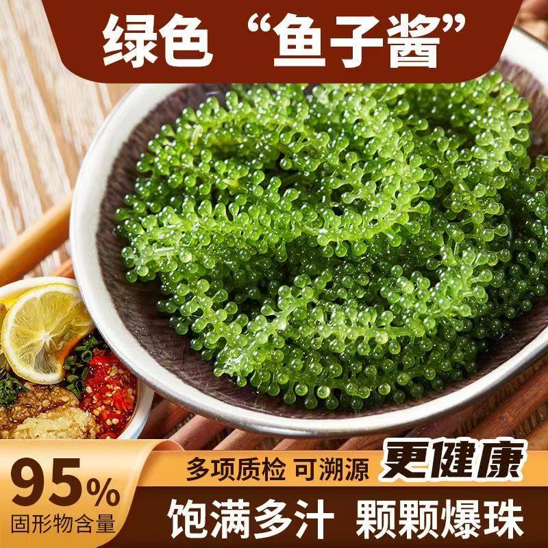 新鲜盐渍儿童海葡萄凉拌绿色鱼子酱即食泡发火锅寿司食材官方旗舰