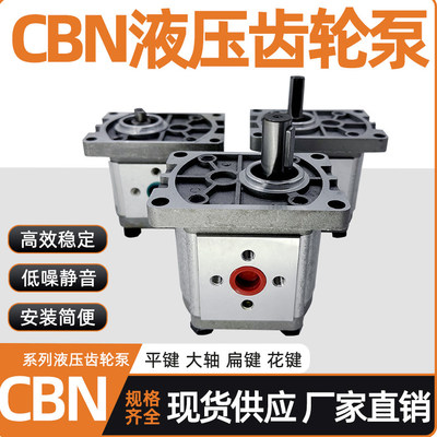 齿轮液压油泵总成CBT-F31