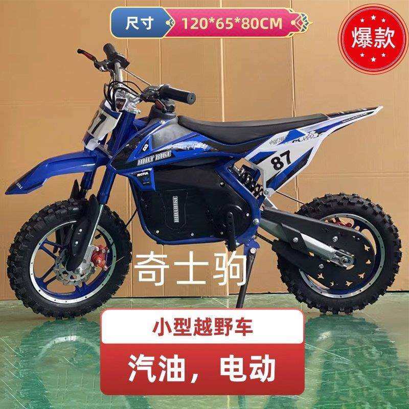 成人儿童迷你小型越野摩托小高赛48V350W电动车锂电池亲子休闲车