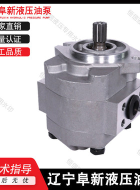 合肥液压齿轮泵CBJ-B63 CBJ-B32 CBJ-B40 CBF-H112 CBJF-F160FK
