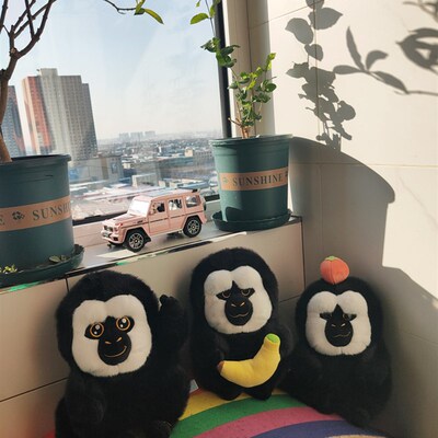 红山动物园网红白面僧面猴公仔花棉袄杜杜比耶猴子玩偶军大衣猩猩