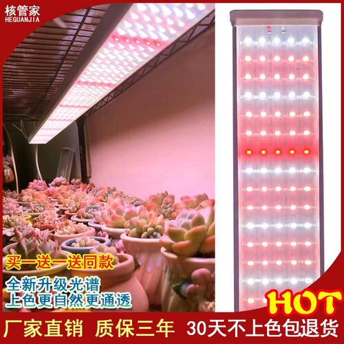led全光谱植物生长灯多肉补光灯家用上色防徒育苗热植仿太阳光