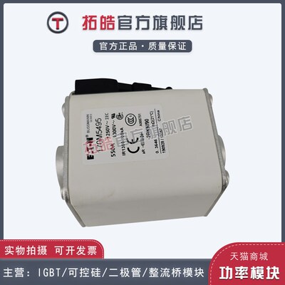 快速熔断器保险丝170M5495/5496/5497/5498/5499/5500/5508/5509