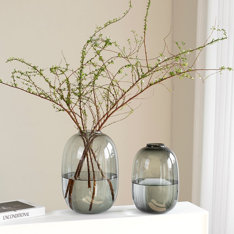高级感大肚花瓶透明玻璃轻奢客厅摆件插花K瓶雪柳鲜枝专用水培花