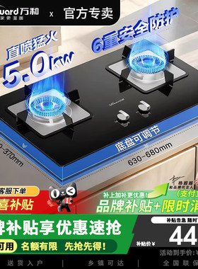 万和B7L51天然气燃气灶5kW猛火一级能效家用煤气双炉具台6重安防