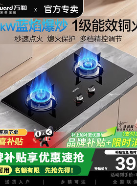 万和ML06天然气煤气罐燃气灶双灶嵌入式钢化玻璃5KW猛火熄火保护