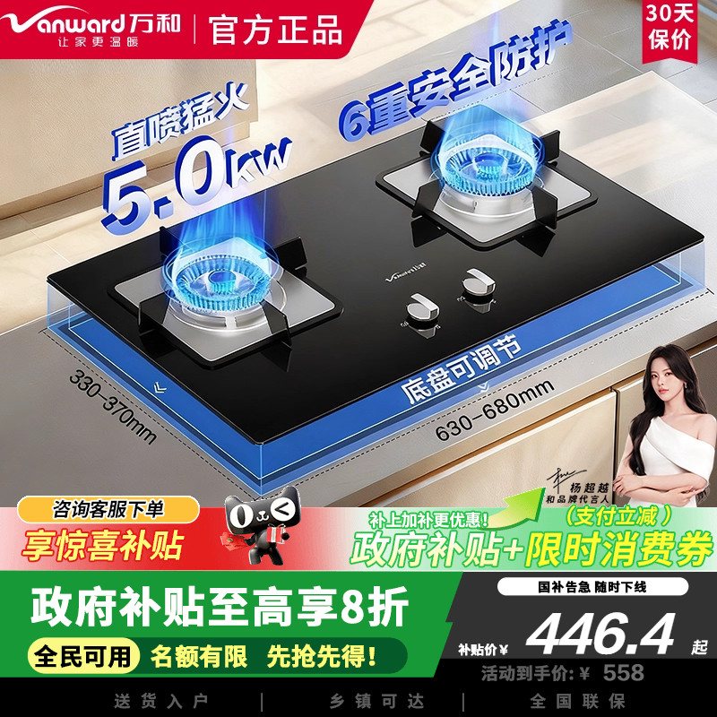 万和B7L51天然气燃气灶5kW猛火一级能效家用煤气双炉具台6重安防