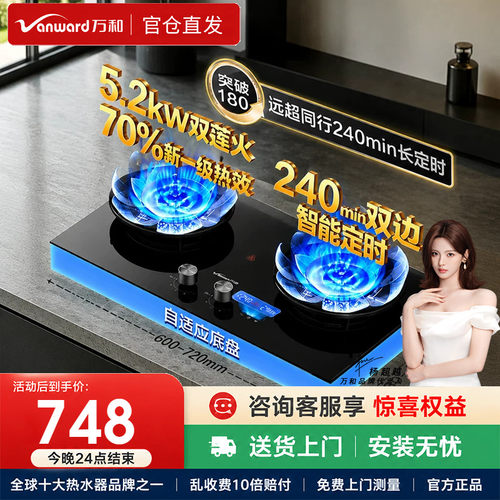 万和B9DS双定时天然气燃气灶煤气灶家用双灶官方液化气灶台嵌入式