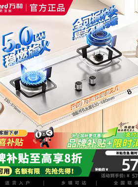 万和燃气灶B6B60猛火大火力天然气液化气适配家用双灶具 5.0KW