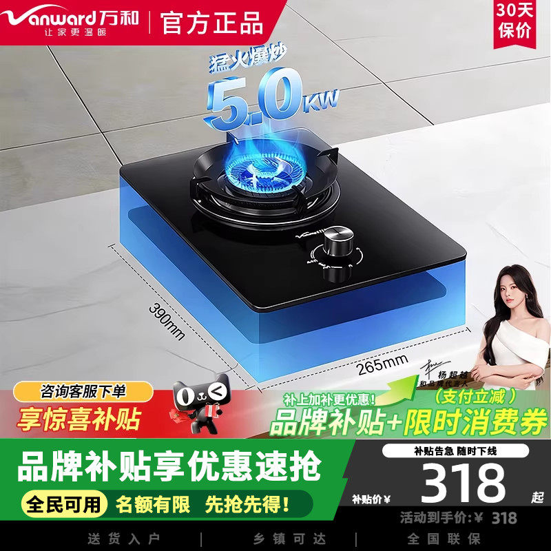 万和燃气灶单灶煤气灶天然气灶家用5.0KW火力单灶头E6L90租房必备