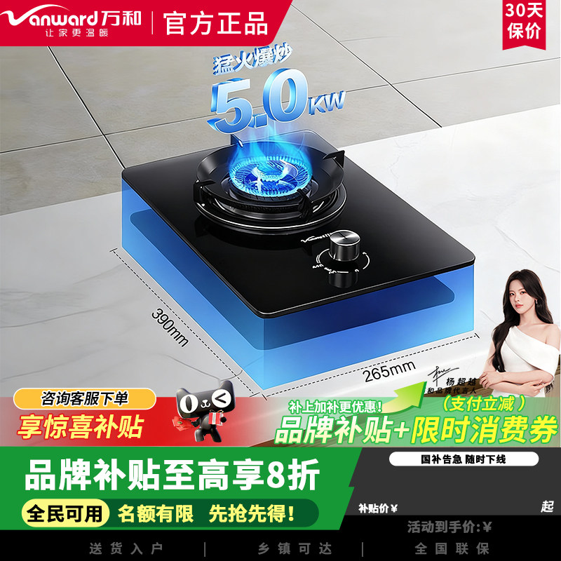 万和燃气灶单灶煤气灶天然气灶家用5.0KW火力单灶头E6L90租房必备