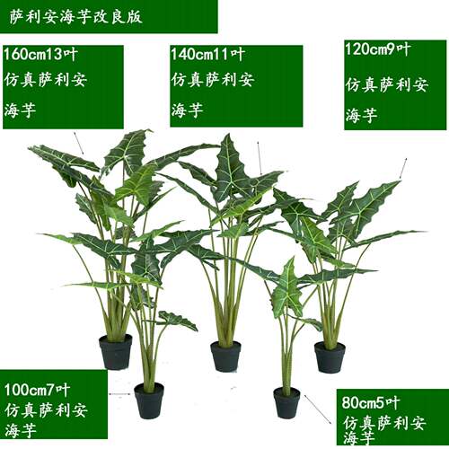 北欧爆款热销仿真萨利安海芋绿植盆栽黑白犀牛大仙女海芋布景