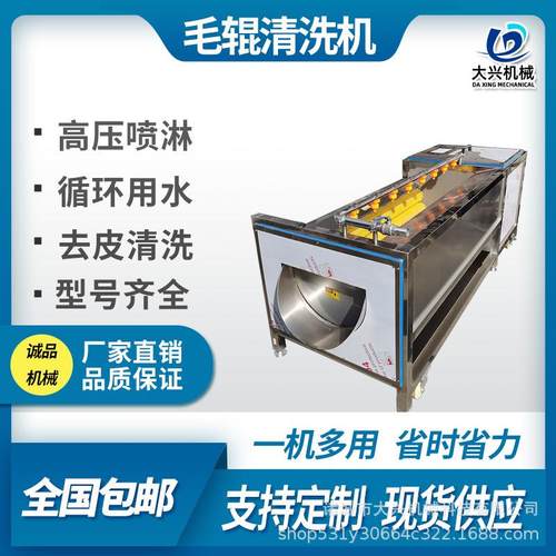 马铃薯去皮去泥清洗机毛辊磨皮清洗机红枣去杂清洗机厂家