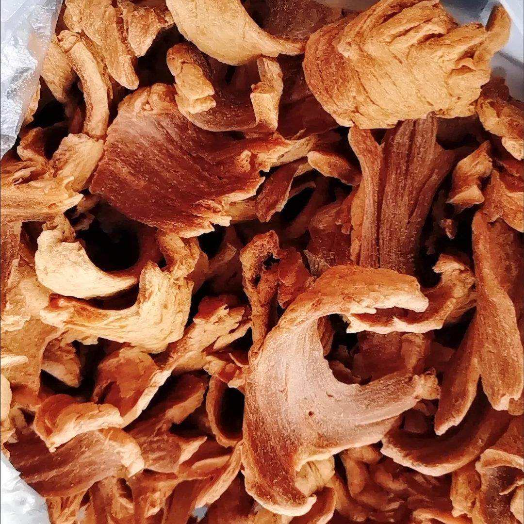 河南特产佛系素丝素肉大豆拉丝蛋白凉拌无盐人造肉干