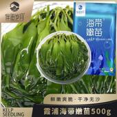 ￥伴海岁月海带嫩苗霞浦海带苗嫩苗芽凉拌火锅煲汤裙带菜盐渍海藻