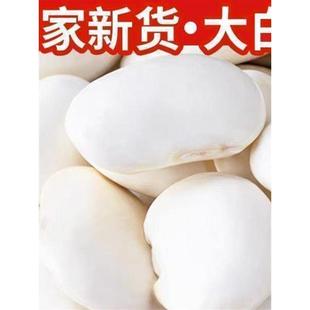 正宗云南大白芸豆大白豆雪豆炖汤大白云豆干货新货整箱椰子粉
