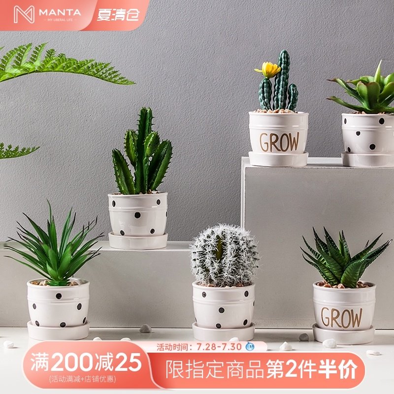 创意假花仿真绿植盆栽多肉仿真花北欧小摆件植物客厅桌面装饰,家居饰品,仿真植物盆景,淘宝优惠券,粉丝福利购,淘宝优惠卷