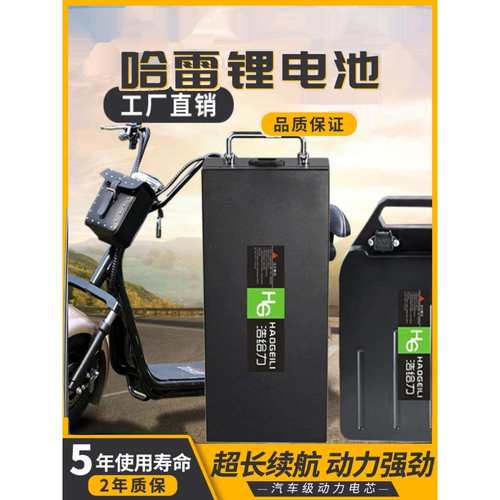 60V12AH20AH哈雷电动车大容量锂电池64V15AHx7X9可拆卸电瓶