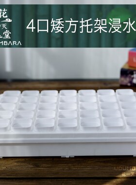 迷你4口径多肉控养矮方盆塑料托架浸水盘阳台种菜肉锥育苗播种盘