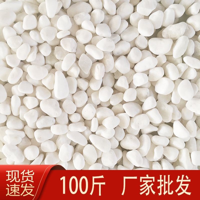 鹅卵石铺地100k斤白石子白石头造景白色鹅卵石景观庭院铺路铺地