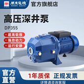 闽东电机DP深井泵220V高扬程高吸程双管吸程25m抽水机增压水泵