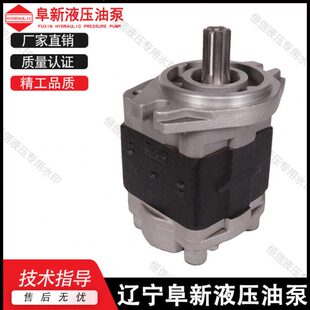 F28.2 铸铁油泵 合肥阜新液压齿轮泵CBFz F25 F36 F32 F23 F30