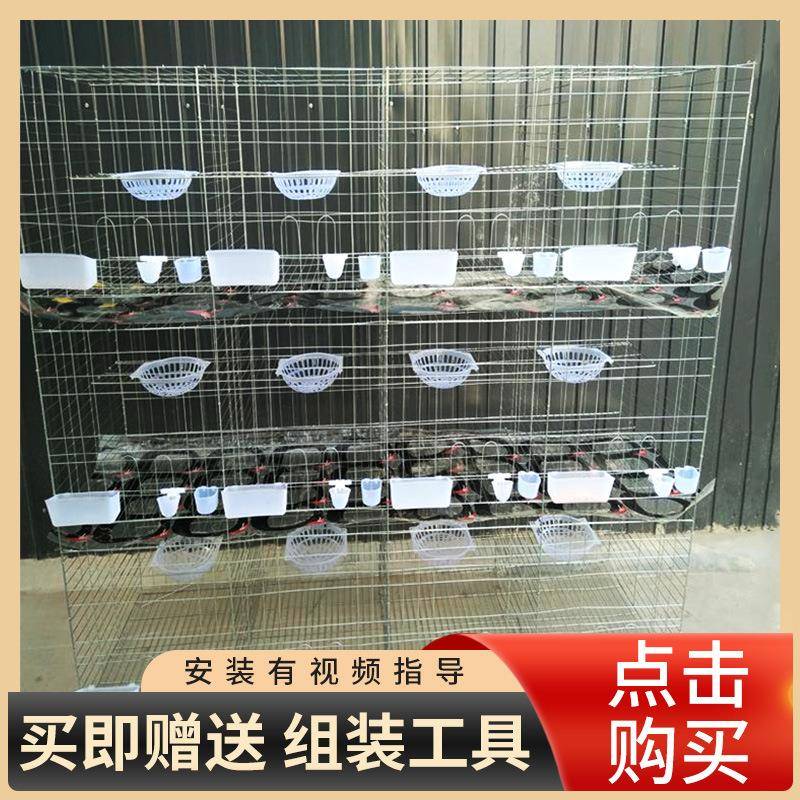 加工定制12位鸽笼24位全自动鸽用具蛋鸽笼家用配对鸽笼厂家定做