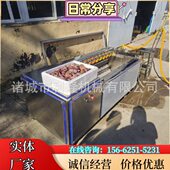 304不锈钢毛辊清洗去皮机 海产品海虹去沙机器 花生芋头去泥设备