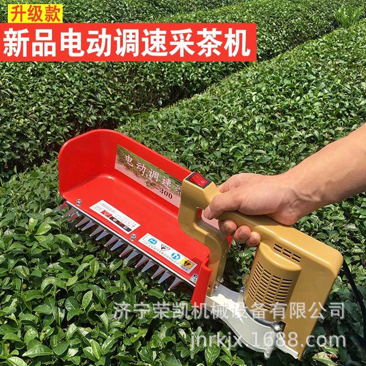 仿手工摘茶机单人型 茶园采茶电动工具 充电摘茶采茶机厂家