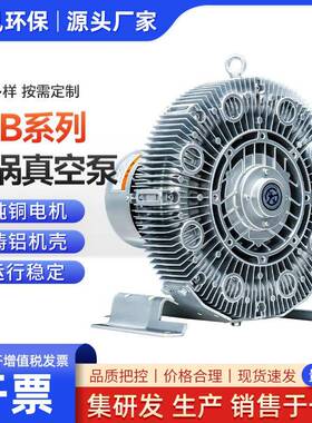 4RB系列旋涡真空泵真空清扫吸尘负压铝铸机壳罐送风漩涡风机