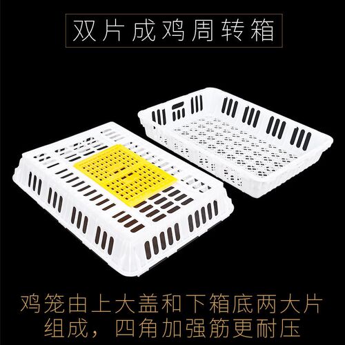 成鸡运输笼鸡用周转箱塑料鸡笼家用鸡鸭鹅运输筐兔笼鸽笼加厚笼子