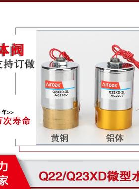 气动先导阀Q23XD/Q22XD-2L小型黄铜水阀AC220v气动单向电磁阀
